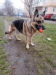     
: 20190205_074302.jpg
: 12
:	195.8 
ID:	13023570