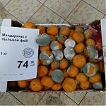     
: 2BA845F3-7EAB-4173-921C-2AE56769FA1B.jpeg
: 20
:	85.6 
ID:	13025098