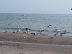     
: IMG_20190210_111034.jpg
: 23
:	77.2 
ID:	13029577
