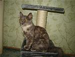     
: 3a0900b02a0a.jpg
: 20
:	63.0 
ID:	1302965