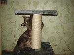     
: f4427baa00a8.jpg
: 20
:	66.1 
ID:	1302969