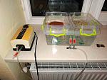     
: IMG_20190208_230941.jpg
: 82
:	207.7 
ID:	13029692