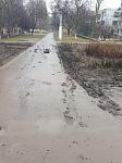     
: 20190202_103159.jpg
: 13
:	92.6 
ID:	13031891