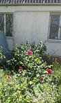     
: 20C969F6-1DED-47EC-B065-2BC5CE7C0612.jpg
: 46
:	86.3 
ID:	13033217
