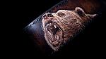     
: IMG_20180324_221016.jpg
: 526
:	88.2 
ID:	13033386
