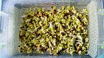     
: 20190213_092134.jpg
: 53
:	287.0 
ID:	13033822