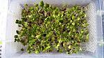     
: 20190214_101230.jpg
: 48
:	233.0 
ID:	13033823