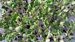     
: 20190214_101234.jpg
: 116
:	243.7 
ID:	13033824