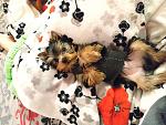     
: IMG_20190130_140812.jpg
: 8
:	142.3 
ID:	13033962