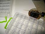     
: !IMG_8222.jpg
: 316
:	196.0 
ID:	13036399