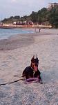     
: IMG_20180524_054927.jpg
: 17
:	74.5 
ID:	13036952