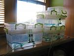     
: !IMG_8341.jpg
: 83
:	240.6 
ID:	13038322