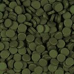     
: super-spirulina-forte-tablets-100_1480335512.jpg
: 68
:	207.7 
ID:	13040337