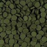     
: super-spirulina-forte-tablets-100_1480335512.jpg
: 46
:	207.7 
ID:	13040337