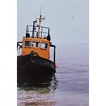     
: IMG_20190214_172647_842.jpg
: 48
:	68.2 
ID:	13041072