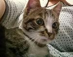     
: IMG_20190223_000715_286.jpg
: 20
:	153.5 
ID:	13042060
