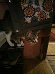     
: IMG_20190223_000702_333.jpg
: 22
:	55.6 
ID:	13042061