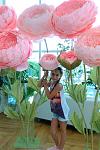     
: IMAG2176.jpg
: 53
:	101.7 
ID:	13042160