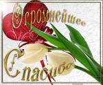     
: 327682_43394.jpg
: 21
:	45.3 
ID:	13042240