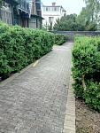     
: 2018-05-10 12-57-01.jpg
: 33
:	184.9 
ID:	13042333