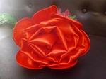     
: P90224-114220.jpg
: 4
:	108.5 
ID:	13043270