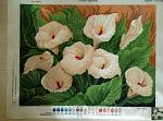     
: P90225-205922(1).jpg
: 40
:	256.2 
ID:	13045324