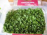     
: !IMG_8470  5 .jpg
: 37
:	253.6 
ID:	13046290