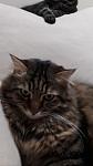    
: IMG-a1cf02041636f401b7558375cfa0b52e-V.jpg
: 22
:	48.6 
ID:	13047524