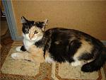     
: 71c72f8728ec.jpg
: 79
:	68.0 
ID:	1304955