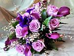     
: look.com.ua-31170.jpg
: 105
:	216.2 
ID:	13049728