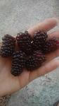     
: 7f27085789de.jpg
: 23
:	56.2 
ID:	13051594