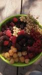     
: viber image 2019-02-24 , 18.02.05.jpg3333.jpg
: 26
:	74.4 
ID:	13051599