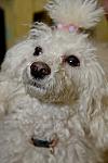     
: _MVI3519_ .jpg
: 27
:	53.3 
ID:	13052793