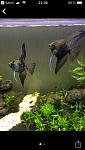     
: 49310411-A856-4180-9359-159545F659D0.jpg
: 116
:	41.9 
ID:	13055191