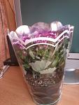     
: 2019-03-08 11.53.35.jpg
: 14
:	46.4 
ID:	13055396