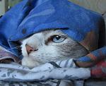     
: IMG_7662 1.jpg
: 19
:	160.9 
ID:	13057003