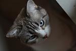     
: IMG_1126.jpg
: 18
:	68.7 
ID:	13057004