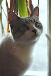     
: IMG_0678 1.jpg
: 19
:	55.0 
ID:	13057005