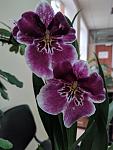     
: IMG_20190220_142810.jpg
: 21
:	86.2 
ID:	13059139