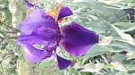     
: 20180510_115336.jpg
: 22
:	111.2 
ID:	13059270