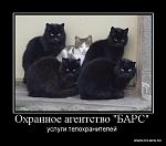     
: z-21.jpg
: 108
:	59.2 
ID:	1305934