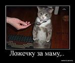     
: z-68.jpg
: 103
:	63.1 
ID:	1305937