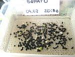     
: !IMG_8575  5.jpg
: 31
:	161.6 
ID:	13061818