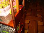     
: !IMG_8653.jpg
: 37
:	255.1 
ID:	13064388