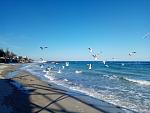     
: IMG_20190318_154619.jpg
: 30
:	108.1 
ID:	13066865