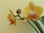     
: 20190319_104354.jpg
: 5
:	68.7 
ID:	13067413