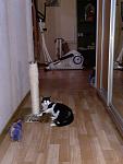     
: P90319-222529.jpg
: 19
:	85.1 
ID:	13068367
