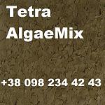     
: Tetra Algae Mix.jpg
: 30
:	136.8 
ID:	13072327