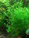     
: IMG_20190325_090710.jpg
: 7
:	124.7 
ID:	13073549