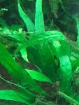     
: IMG_20190325_090741.jpg
: 8
:	67.6 
ID:	13073558